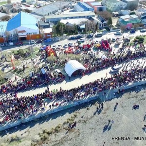 aerea (5)