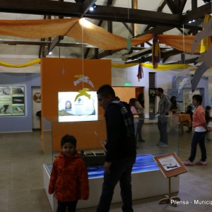 Museo (2)
