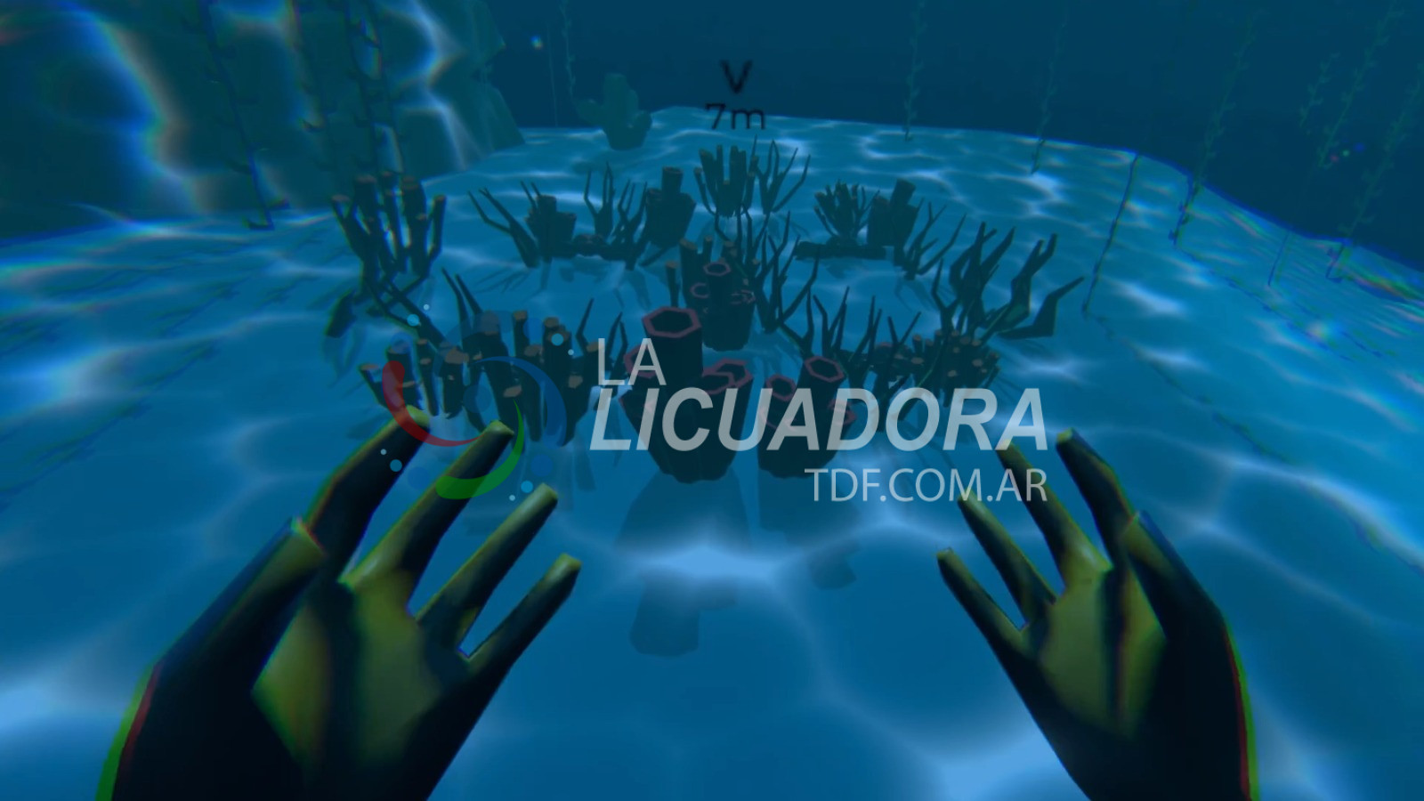 Un viaje virtual a los bosques sumergidos de Tierra del Fuego La